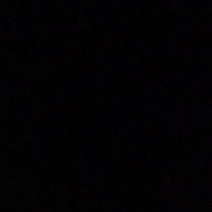 Meet your Posher, Alisha